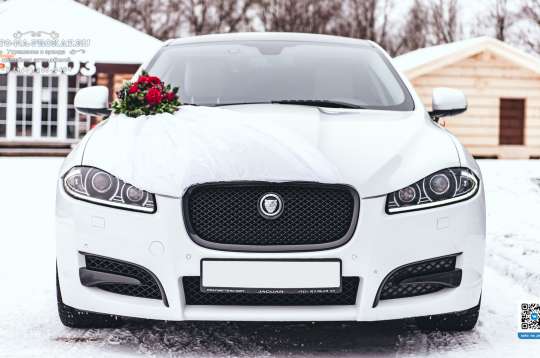 Вариант украшений для свадебного авто №98