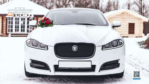 Вариант украшений для свадебного авто №98 Вариант украшений для свадебного авто №98