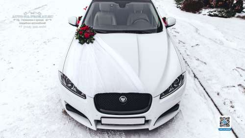 Вариант украшений для свадебного авто №98 Вариант украшений для свадебного авто №98