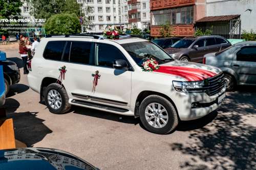 Toyota Land Cruiser и вариант украшения №31