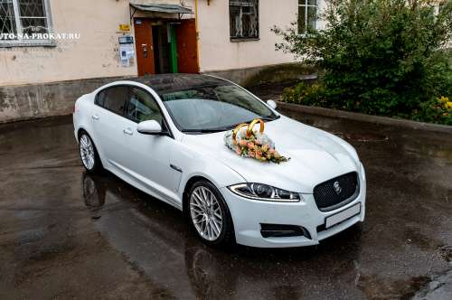 Jaguar XF и вариант украшения №54
