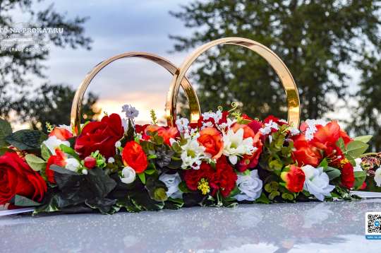 Вариант украшений для свадебного авто №59