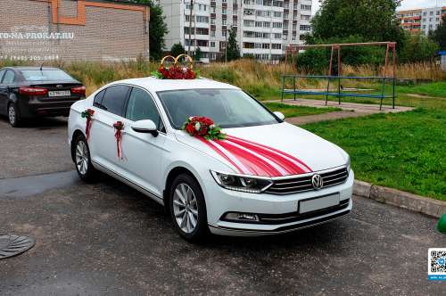 Volkswagen Passat и вариант украшения №11