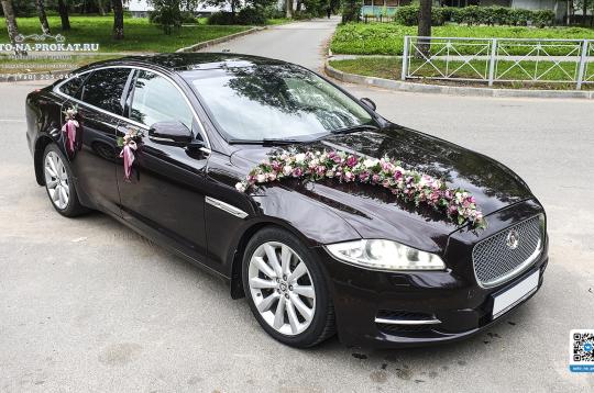 Аренда Jaguar XJ (Ягуар ИксДжей), коричневый на свадьбу, выписку из роддома, фотосессию