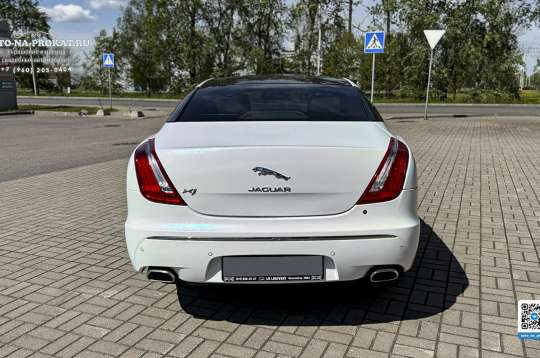 Прокат белого Jaguar XJ на свадьбу Прокат белого Jaguar XJ на свадьбу
