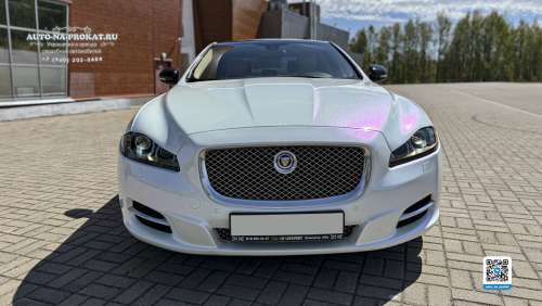 Белый Jaguar XJ на свадьбу в Великом Новгороде