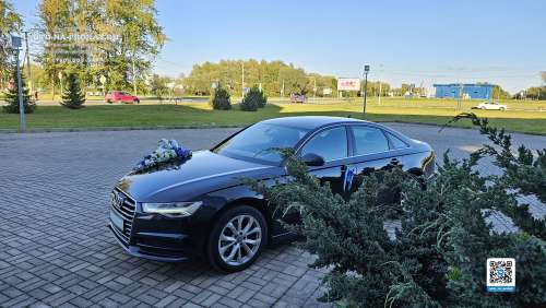 Аренда Ауди А6 с водителем на свадьбу Аренда Ауди А6 с водителем на свадьбу