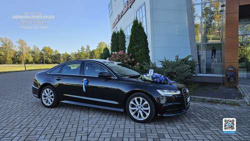Аренда Ауди А6 на свадьбу в Великом Новгороде Аренда Ауди А6 на свадьбу в Великом Новгороде
