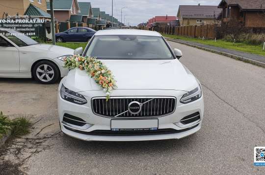 Вариант украшений для свадебного авто №99