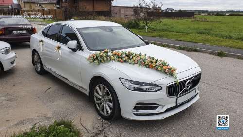 Вариант украшений для свадебного авто №99