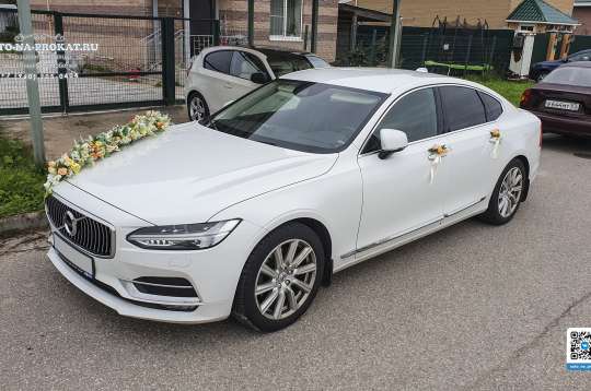 Вариант украшений для свадебного авто №99