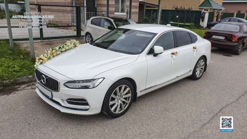 Вариант украшений для свадебного авто №99