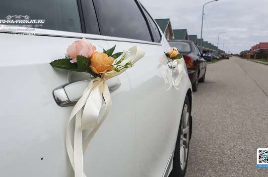 Вариант украшений для свадебного авто №99