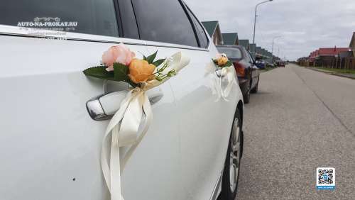 Вариант украшений для свадебного авто №99