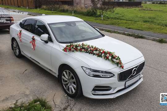 Вариант украшений для свадебного авто №100