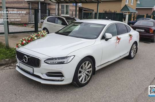 Вариант украшений для свадебного авто №100