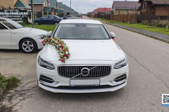 Вариант украшений для свадебного авто №100