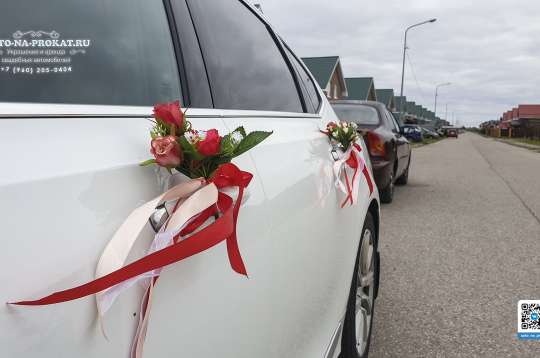 Вариант украшений для свадебного авто №100