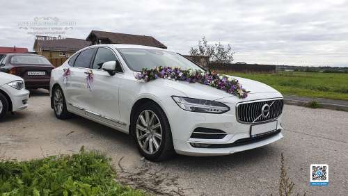 Вариант украшений для свадебного авто №101