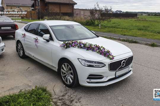 Вариант украшений для свадебного авто №101