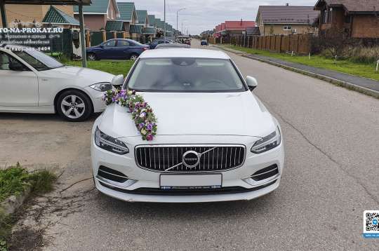 Вариант украшений для свадебного авто №101