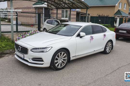 Вариант украшений для свадебного авто №101