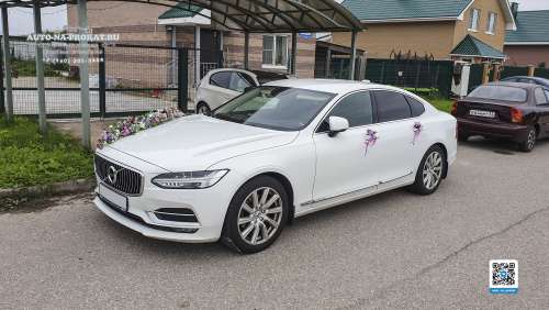 Вариант украшений для свадебного авто №101