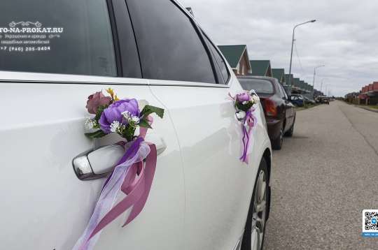 Вариант украшений для свадебного авто №101