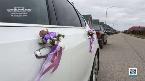 Вариант украшений для свадебного авто №101