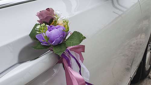 Вариант украшений для свадебного авто №101