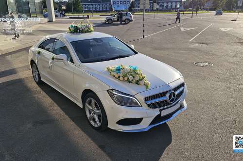 Mercedes CLS C218 AMG и вариант украшения №09 Mercedes CLS C218 AMG и вариант украшения №09