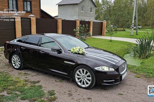 Jaguar XJ и вариант украшения №80